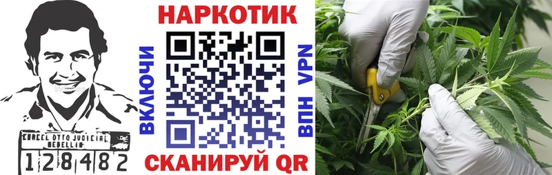 Конопля Кремёнки