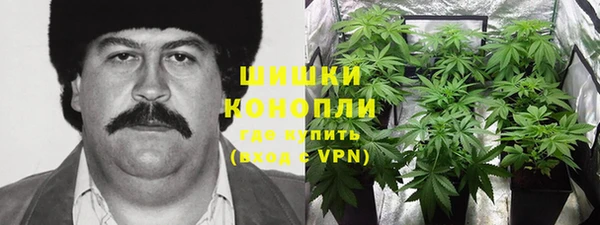 винт Алексеевка